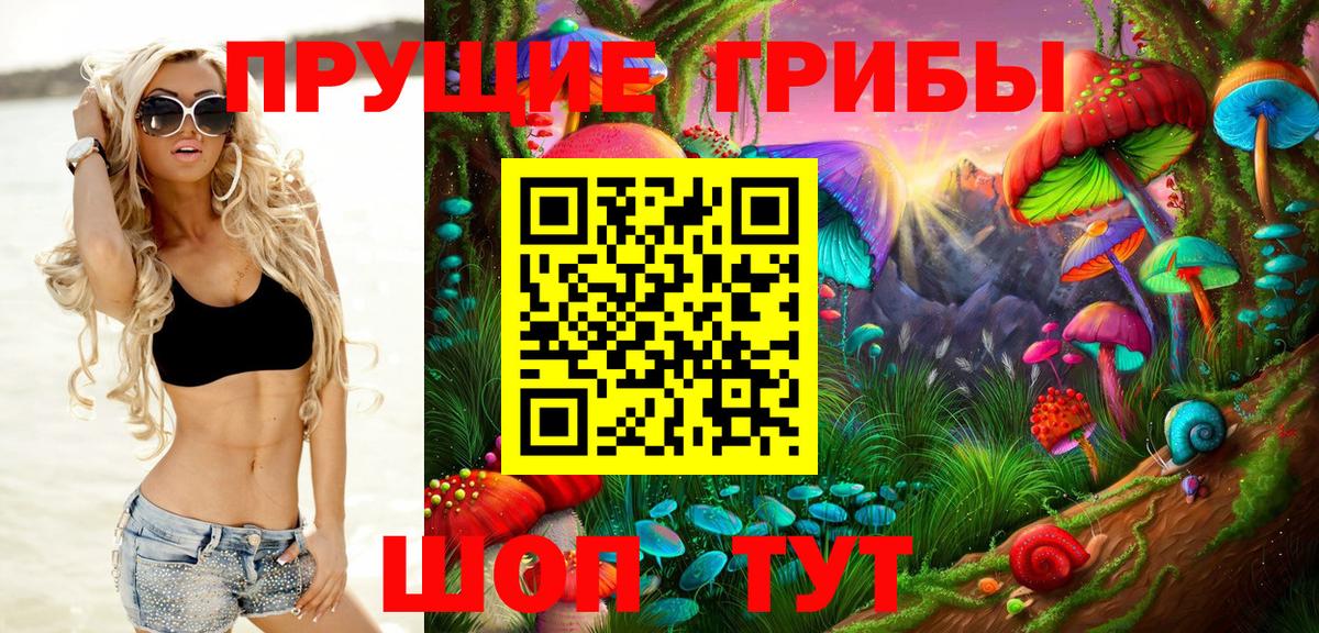 Сочи  Псилоцибиновые грибы Psilocybine cubensis  Вход с VPN 