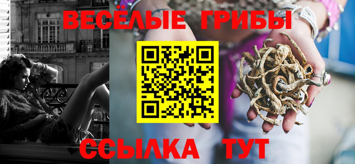 Псилоцибиновые грибы Magic Shrooms Сочи